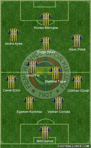 Fenerbahçe SK Formation 2015