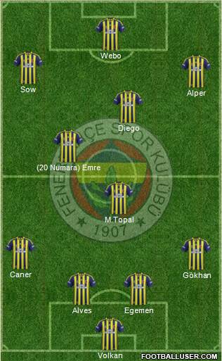 Fenerbahçe SK Formation 2015