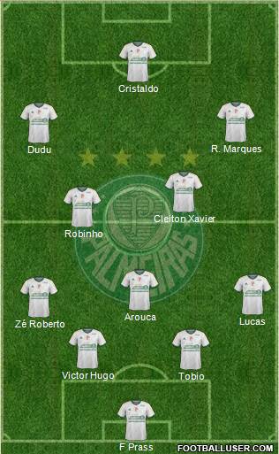 SE Palmeiras Formation 2015