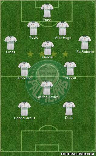 SE Palmeiras Formation 2015