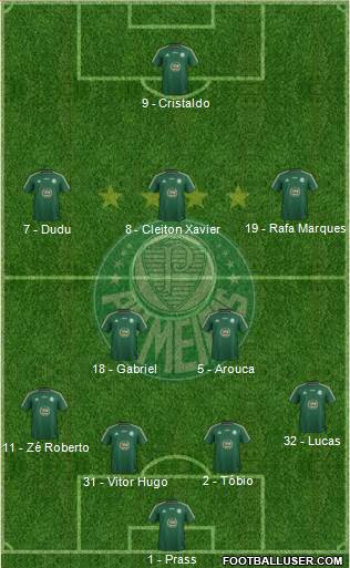 SE Palmeiras Formation 2015