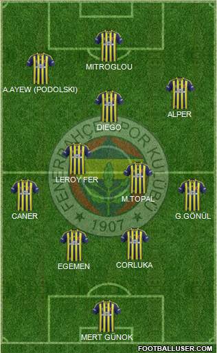 Fenerbahçe SK Formation 2015