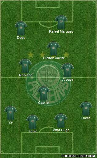 SE Palmeiras Formation 2015