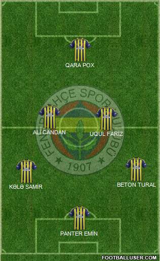 Fenerbahçe SK Formation 2015
