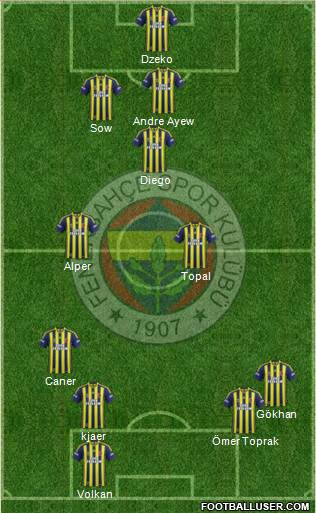 Fenerbahçe SK Formation 2015
