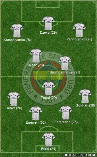 Fenerbahçe SK Formation 2015