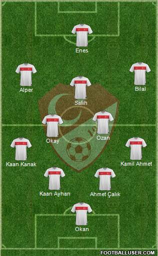 Turkey Formation 2015