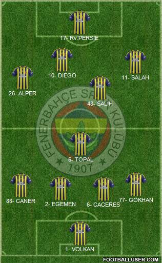 Fenerbahçe SK Formation 2015