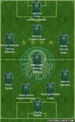 SE Palmeiras Formation 2015