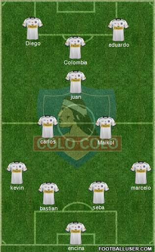 CSD Colo Colo Formation 2015