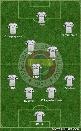 Fenerbahçe SK Formation 2015