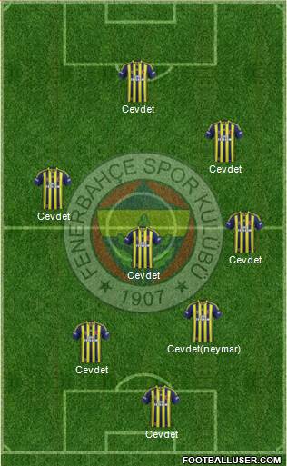 Fenerbahçe SK Formation 2015