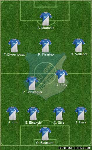 TSG 1899 Hoffenheim Formation 2015