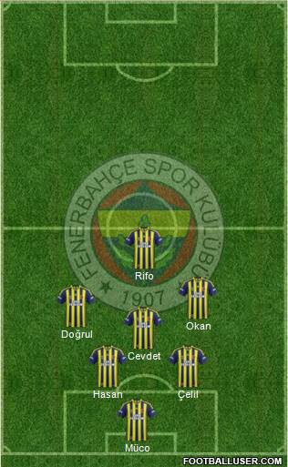 Fenerbahçe SK Formation 2015
