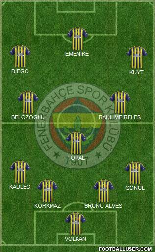Fenerbahçe SK Formation 2015