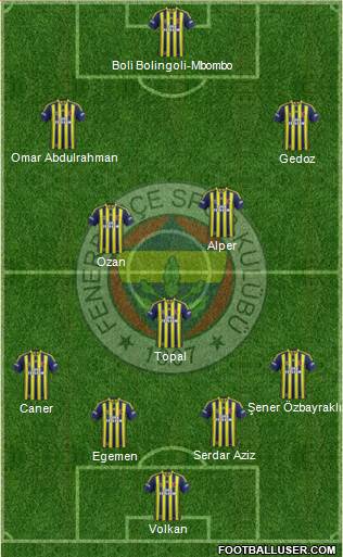 Fenerbahçe SK Formation 2015