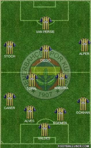 Fenerbahçe SK Formation 2015