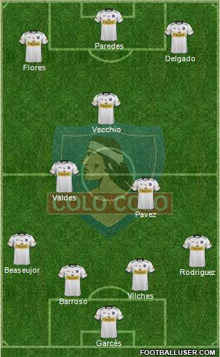 CSD Colo Colo Formation 2015