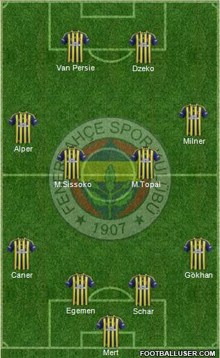 Fenerbahçe SK Formation 2015