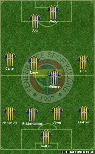 Fenerbahçe SK Formation 2015