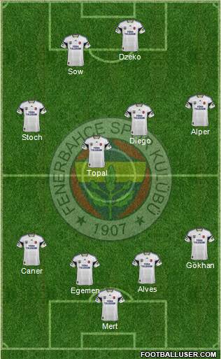 Fenerbahçe SK Formation 2015