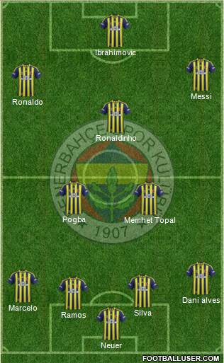 Fenerbahçe SK Formation 2015