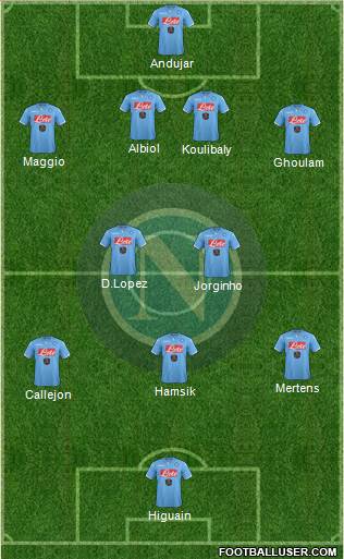 Napoli Formation 2015