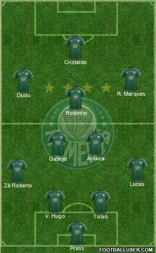 SE Palmeiras Formation 2015