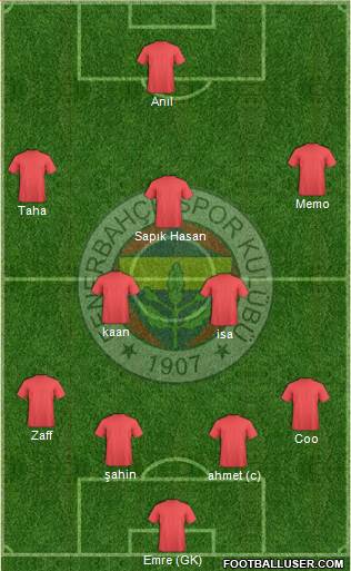 Fenerbahçe SK Formation 2015