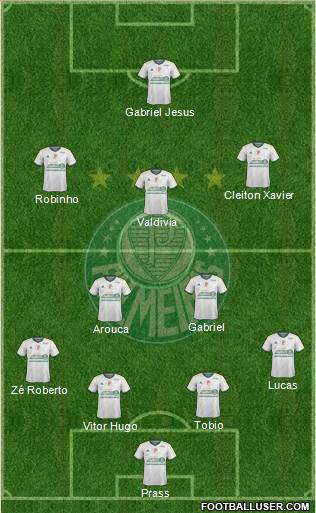 SE Palmeiras Formation 2015