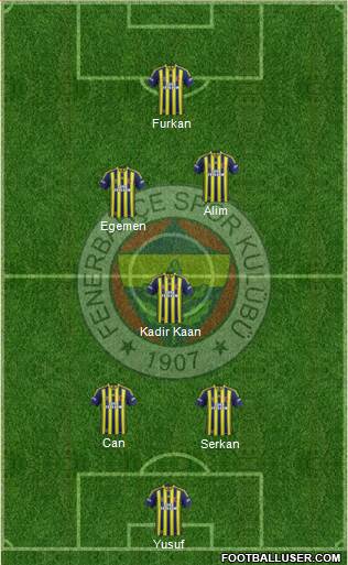 Fenerbahçe SK Formation 2015