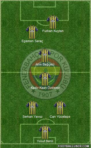 Fenerbahçe SK Formation 2015