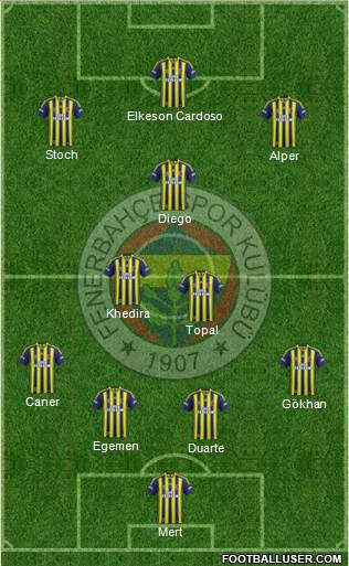 Fenerbahçe SK Formation 2015