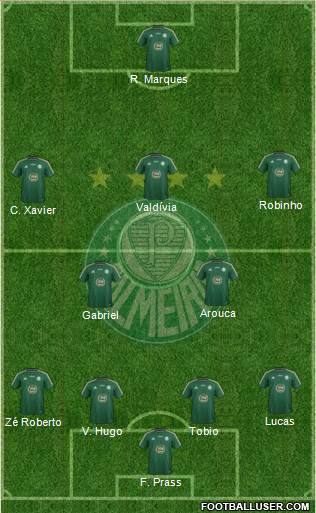 SE Palmeiras Formation 2015