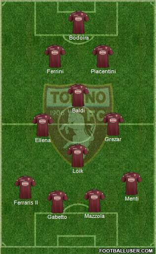 Torino Formation 2015