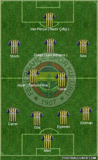 Fenerbahçe SK Formation 2015