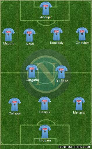 Napoli Formation 2015