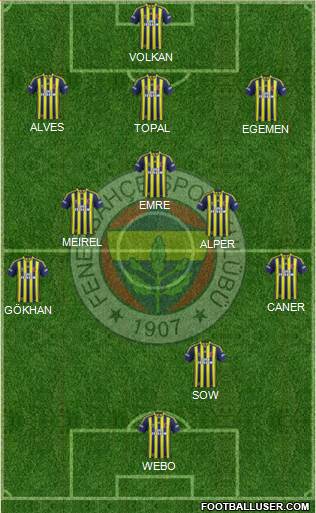 Fenerbahçe SK Formation 2015