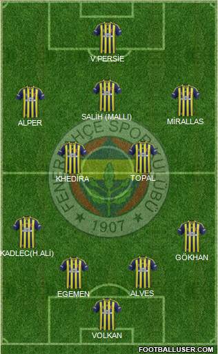 Fenerbahçe SK Formation 2015