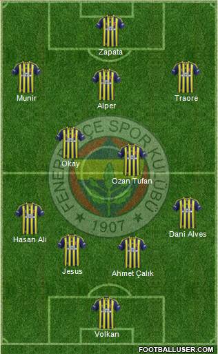 Fenerbahçe SK Formation 2015