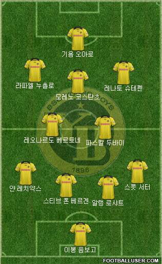 BSC Young Boys Formation 2015