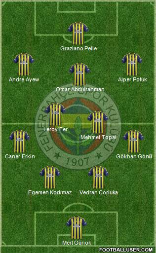 Fenerbahçe SK Formation 2015