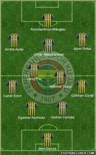 Fenerbahçe SK Formation 2015