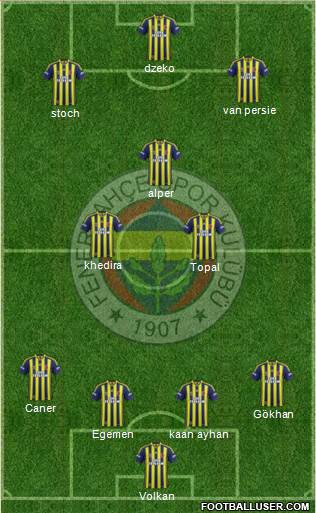 Fenerbahçe SK Formation 2015