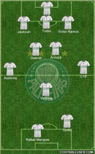 SE Palmeiras Formation 2015