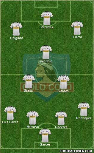 CSD Colo Colo Formation 2015