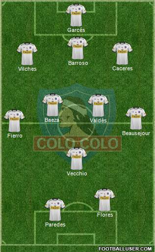 CSD Colo Colo Formation 2015