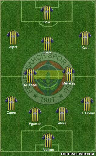 Fenerbahçe SK Formation 2015