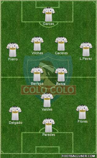 CSD Colo Colo Formation 2015