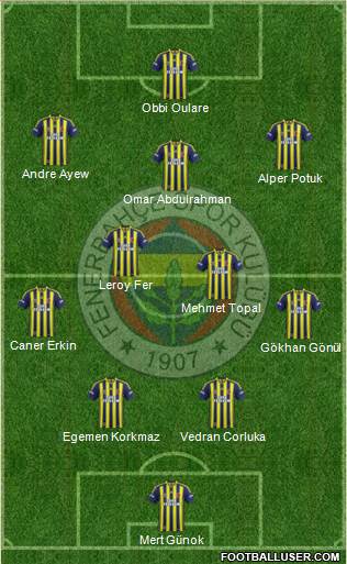 Fenerbahçe SK Formation 2015
